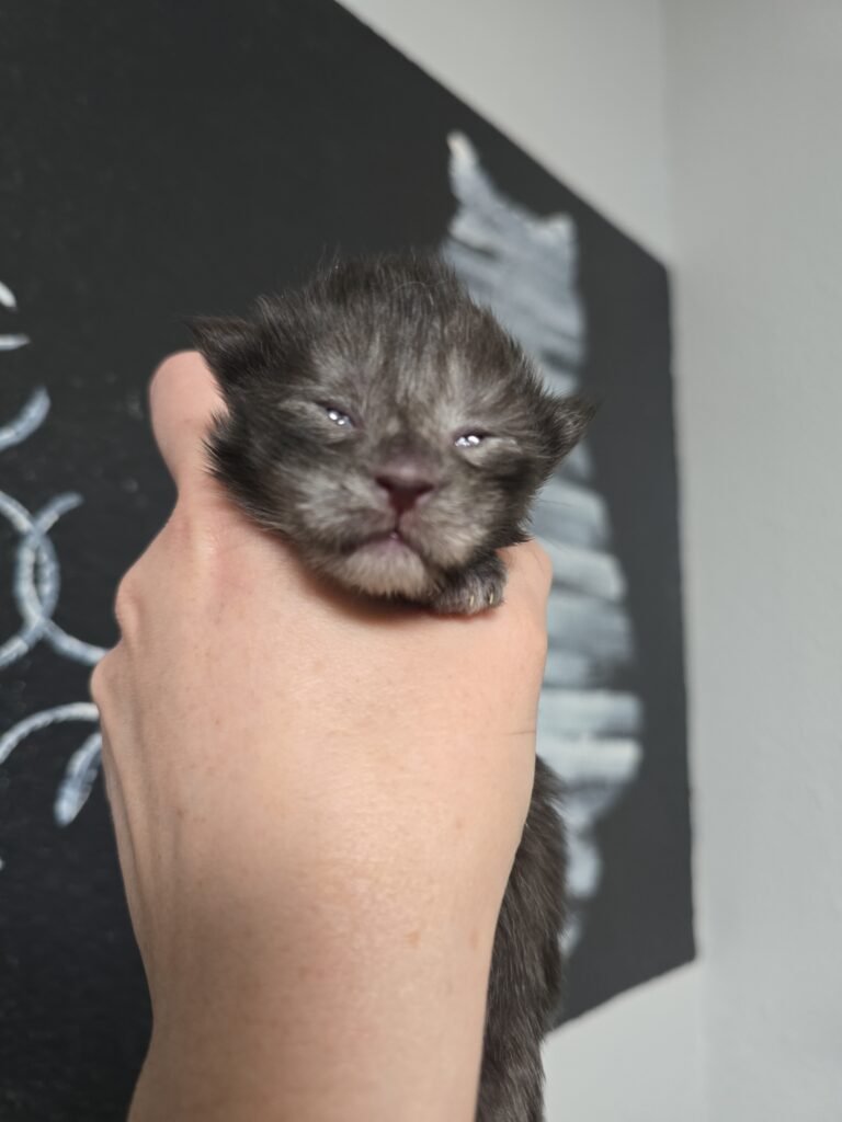 IMG 20260103 125551 768x1024