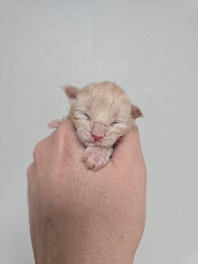 IMG 20260314 205624 768x1024