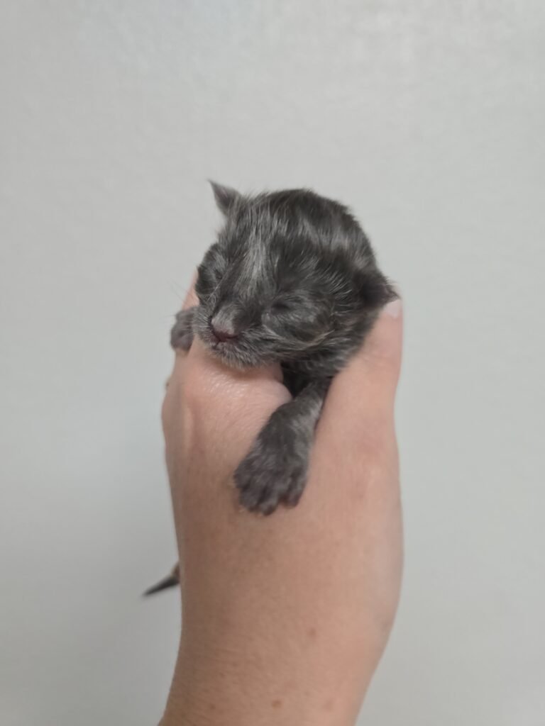 IMG 20260314 205835 768x1024