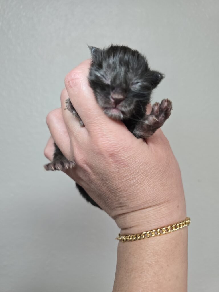 IMG 20260322 151905 768x1024