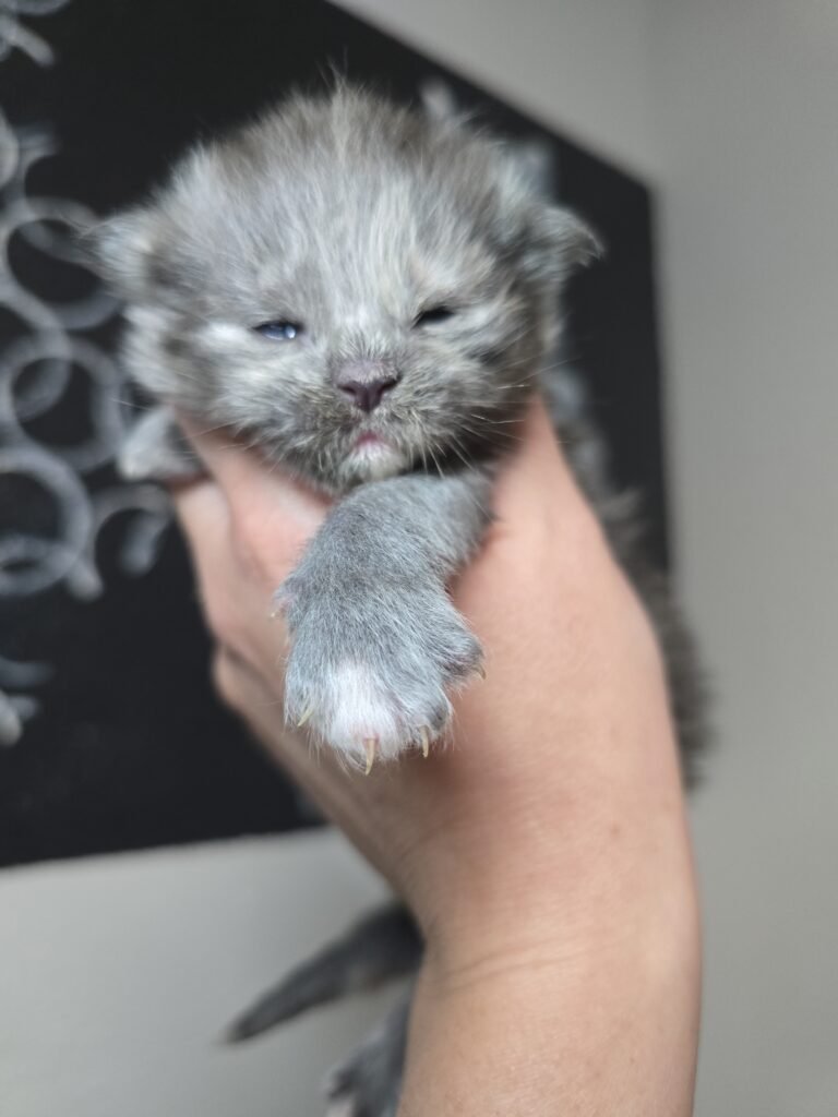 IMG 20260326 105229 768x1024