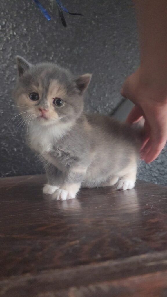 1000011500 scaled.jpg