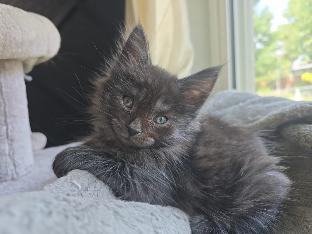 img 20240805 121230 scaled.jpg