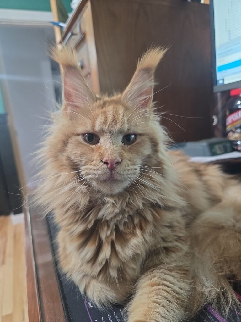 img 20250214 1043482 scaled.jpg