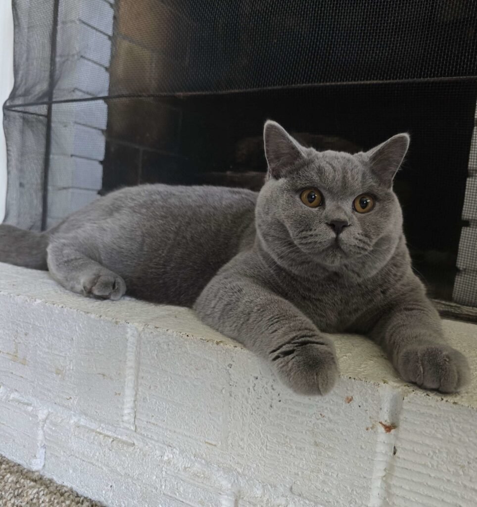 img 20250318 090824 scaled.jpg