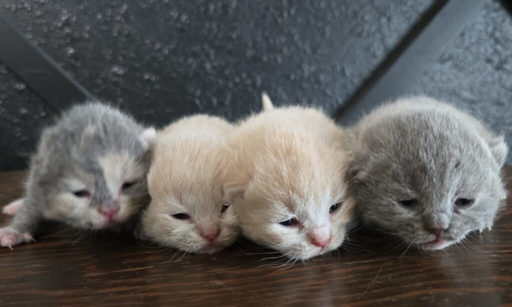 img 20250915 160912 scaled.jpg