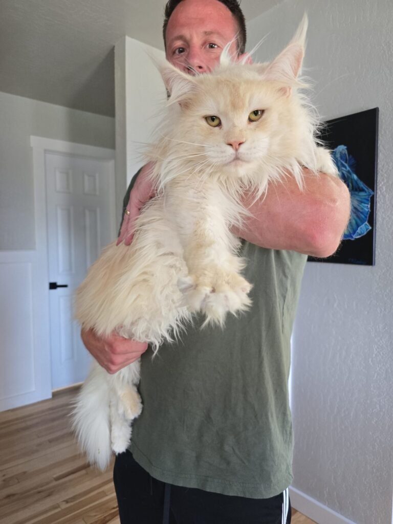 img 20260326 132055 scaled.jpg