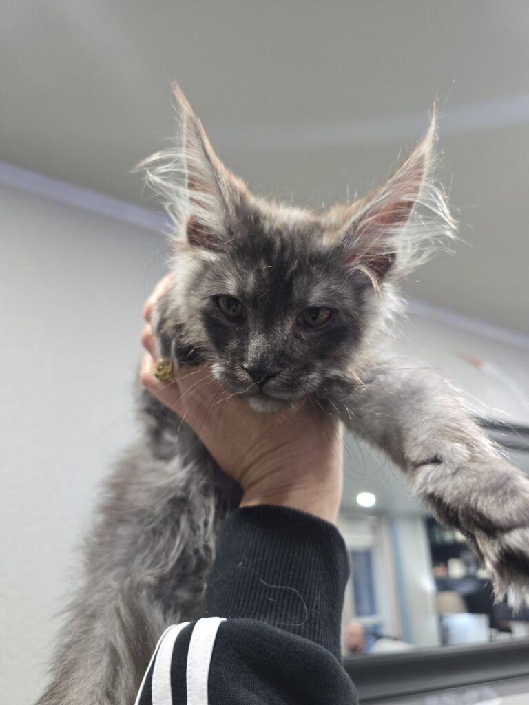 blacksmoke scaled.jpg